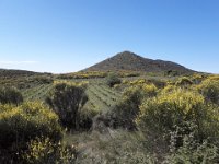 Serge 2019 CaussesVeyran (4)